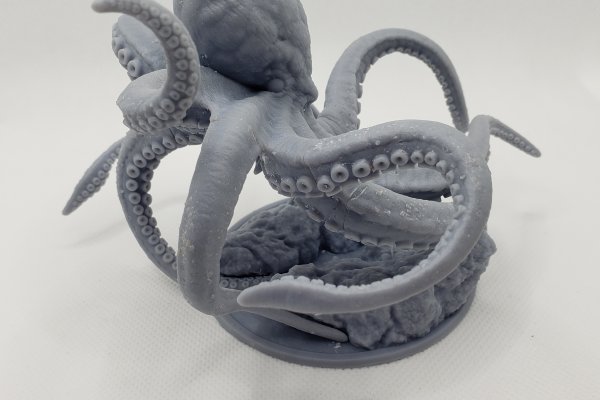 Kraken 6 at