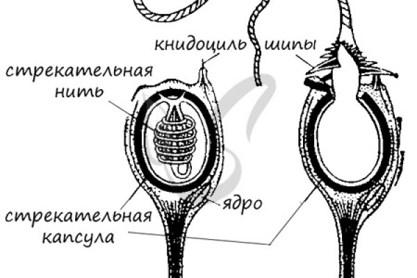 Ссылка кракен cc