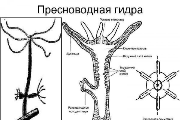 Как восстановить кракен